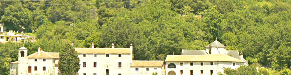 Вид из окна квартиры на Майнский монастырь